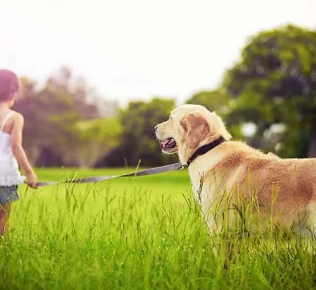 Casa de Campo Soutomoro *